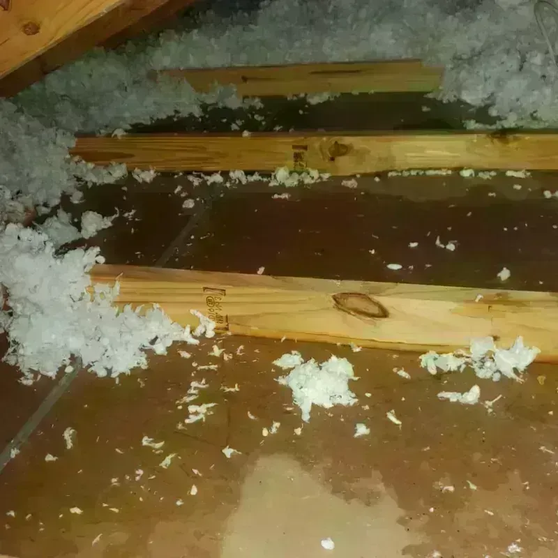 Attic Water Damage in Baraboo, WI