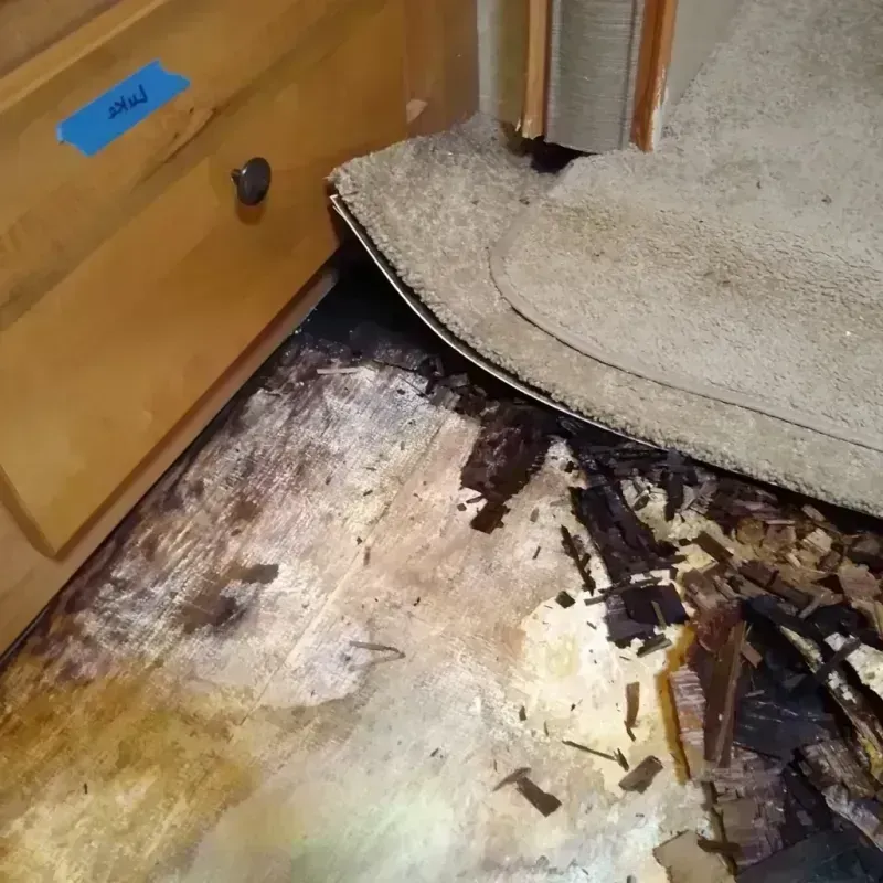 Wood Floor Water Damage in Baraboo, WI